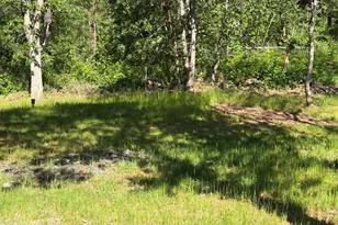 205 Witness Wy, Rogue River, OR 97537 - Photo 38