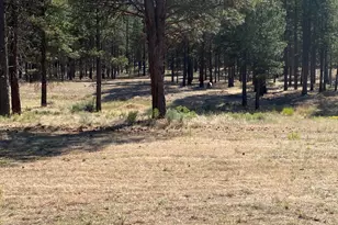 6233 Happy Hollow Ln, Bonanza, OR 97623 - Photo 26