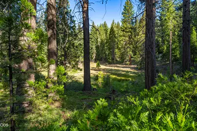 0 Hungry Ridge, Ashland, OR 97520 - Photo 22
