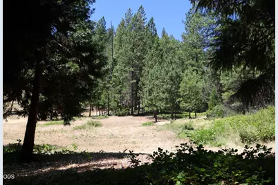 2725 Sykes Creek Road, Rogue River, OR 97537 - Photo 1