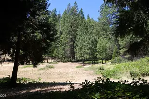2725 Sykes Creek Rd, Rogue River, OR 97537 - Photo 1