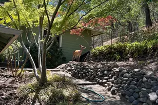 279 Alta Ave, Ashland, OR 97520 - Photo 2
