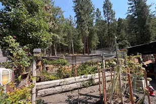 449 Flounce Rock Rd, Prospect, OR 97536 - Photo 42