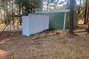 56548 Buckmaster St, Bly, OR 97622 - Photo 10