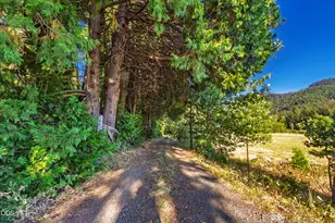 2211 Dick George Rd, Cave Junction, OR 97523 - Photo 60
