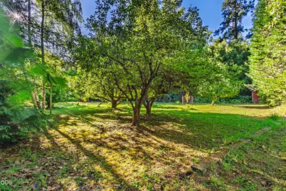 2211 Dick George Road, Cave Junction, OR 97523 - Photo 50