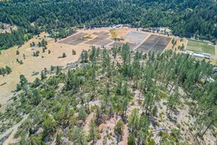 1408 Caves Hwy, Cave Junction, OR 97523 - Photo 1
