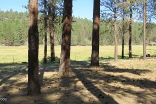 8533 Teal Dr, Bonanza, OR 97623 - Photo 8