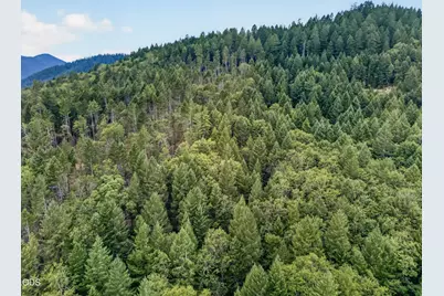 530 Ingalls Lane, Wilderville, OR 97543 - Photo 44