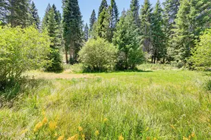 7900 Hyatt Prairie Rd, Ashland, OR 97520 - Photo 8