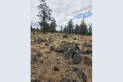 8314 Bly Mountain Cutoff Road, Bonanza, OR 97623 - Photo 20