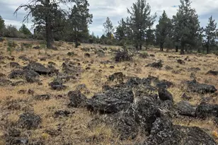 8314 Bly Mountain Cutoff Rd, Bonanza, OR 97623 - Photo 20
