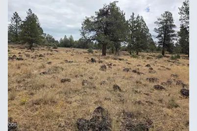 8314 Bly Mountain Cutoff Road, Bonanza, OR 97623 - Photo 22