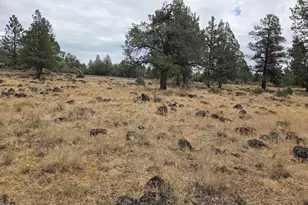 8314 Bly Mountain Cutoff Rd, Bonanza, OR 97623 - Photo 22