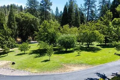 3396 Foots Creek Road, Gold Hill, OR 97525 - Photo 68