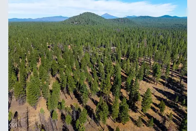 56247 Stellar Drive, Bend, OR 97707 - Photo 2