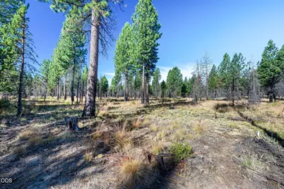 56247 Stellar Drive, Bend, OR 97707 - Photo 4