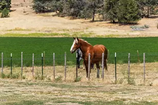 35429 McCartie Ln, Bonanza, OR 97623 - Photo 32