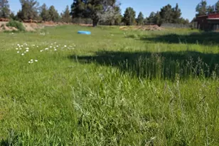 65665 SW 61st St, Bend, OR 97703 - Photo 2