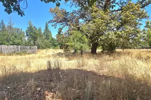 4490 Holland Loop Rd, Cave Junction, OR 97523 - Photo 34