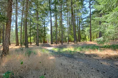 1820 Powell Creek Road, Williams, OR 97544 - Photo 20