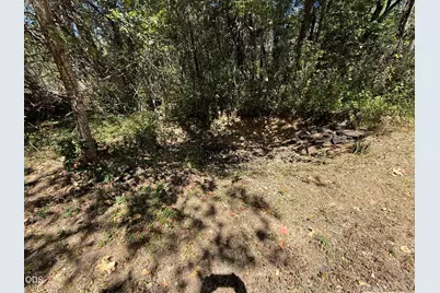 461 Fir Drive, Cave Junction, OR 97523 - Photo 20