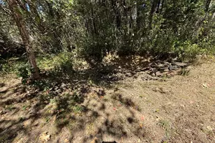 461 Fir Dr, Cave Junction, OR 97523 - Photo 20