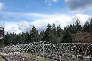 33252 Redwood Hwy, O'Brien, OR 97534 - Photo 10