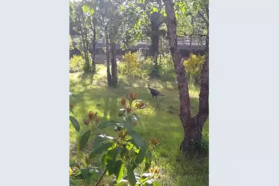 33252 Redwood Highway, O'Brien, OR 97534 - Photo 24