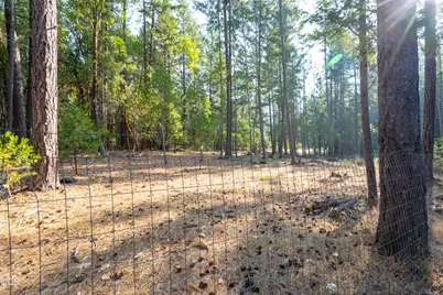 1700 Sykes Creek Road, Rogue River, OR 97537 - Photo 12