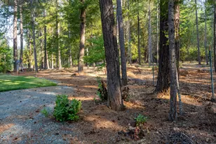 1700 Sykes Creek Rd, Rogue River, OR 97537 - Photo 70