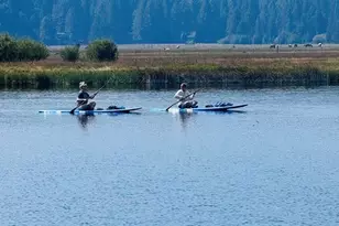 70535 Salal, Sisters, OR 97759 - Photo 50