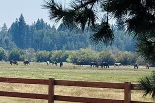 70535 Salal, Sisters, OR 97759 - Photo 50