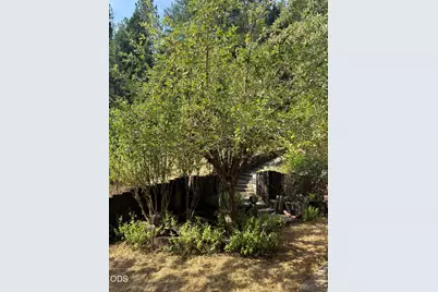 5010 Griffin Creek Road, Medford, OR 97501 - Photo 34