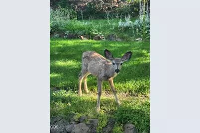 1617 NW 8th, Bend, OR 97703 - Photo 18