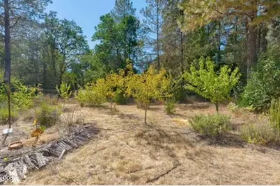 2499 Cedar Flat Road, Williams, OR 97544 - Photo 46