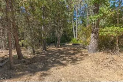 2499 Cedar Flat Road, Williams, OR 97544 - Photo 42