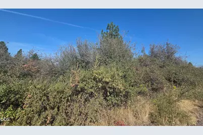 0 Lakeland Road #Lot 24, Chiloquin, OR 97624 - Photo 4