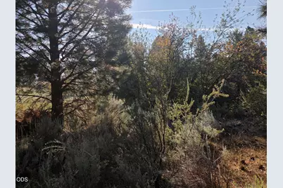 0 Palouse Lane #Lot 5, Chiloquin, OR 97624 - Photo 4
