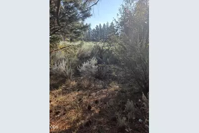 0 Palouse Lane #Lot 5, Chiloquin, OR 97624 - Photo 6