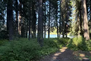 27428 W Odell Rd, Crescent Lake, OR 97733 - Photo 18