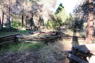 541 Mathews Rd, Dorris, CA 96023 - Photo 44
