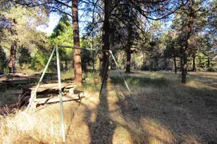541 Mathews Rd, Dorris, CA 96023 - Photo 46