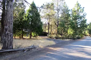 541 Mathews Rd, Dorris, CA 96023 - Photo 56