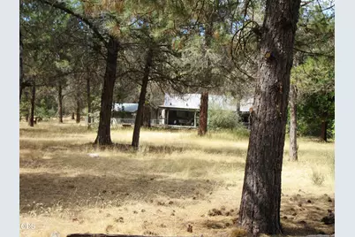 541 Mathews Road, Dorris, CA 96023 - Photo 40