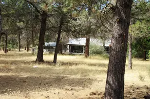541 Mathews Rd, Dorris, CA 96023 - Photo 40
