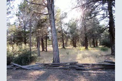 541 Mathews Road, Dorris, CA 96023 - Photo 58