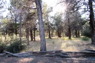 541 Mathews Rd, Dorris, CA 96023 - Photo 58