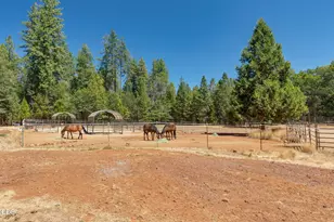 1650 Queens Branch Rd, Rogue River, OR 97537 - Photo 58