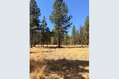 56031 Savage Road, Bend, OR 97707 - Photo 2